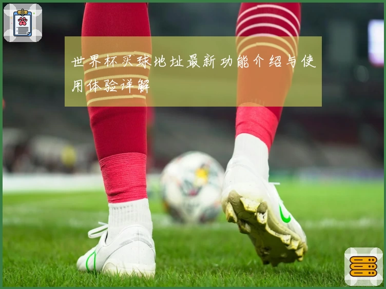 世界杯买球地址最新功能介绍与使用体验详解