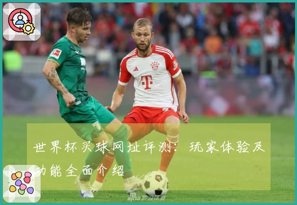 世界杯买球网址评测：玩家体验及功能全面介绍