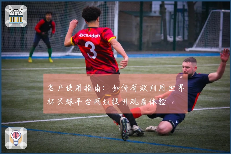 客户使用指南：如何有效利用世界杯买球平台网址提升观看体验