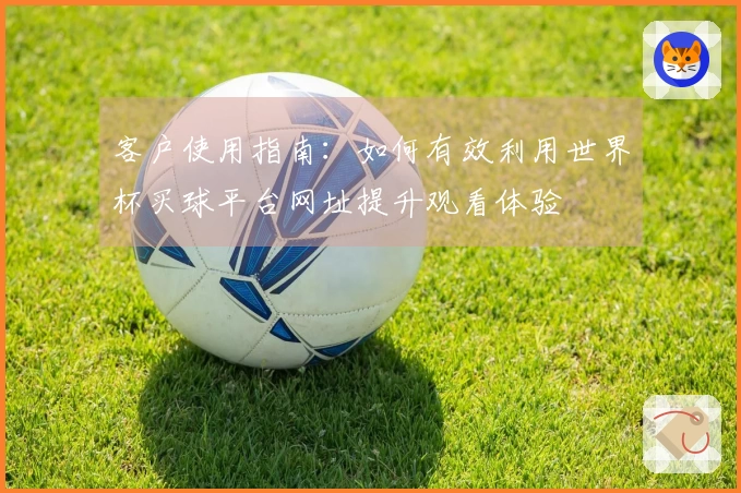 客户使用指南：如何有效利用世界杯买球平台网址提升观看体验