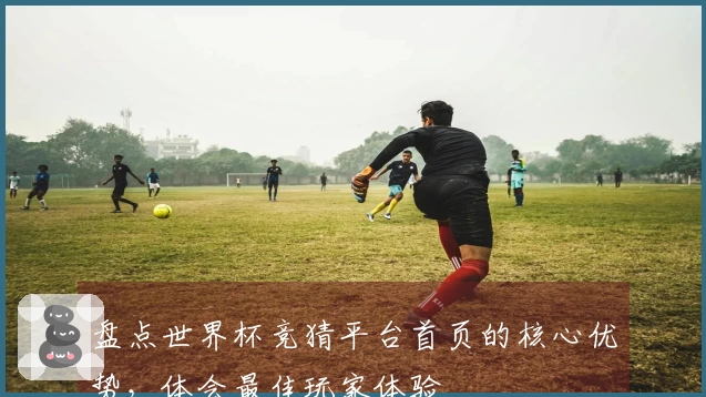 盘点世界杯竞猜平台首页的核心优势，体会最佳玩家体验