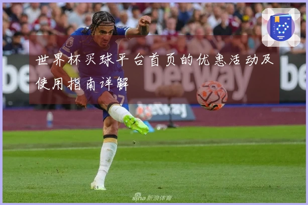 世界杯买球平台首页的优惠活动及使用指南详解